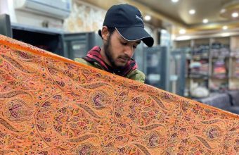 Innovative Approaches to Pashmina Silk Production: Embracing Natural Dyes and Silkworm Nutrition