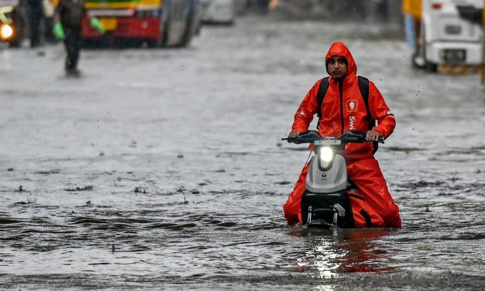 Lessons from Singapore: Embracing Green Spaces in India's Urban Development