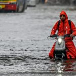 Lessons from Singapore: Embracing Green Spaces in India's Urban Development