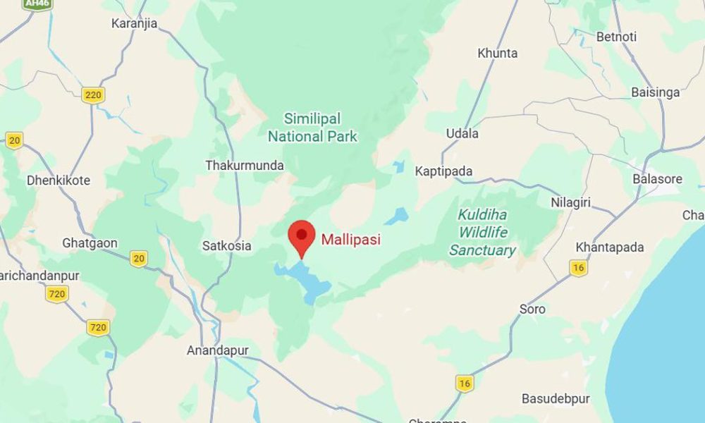 Odisha Man Exhumes Sister’s Remains to Withdraw Savings from Bank