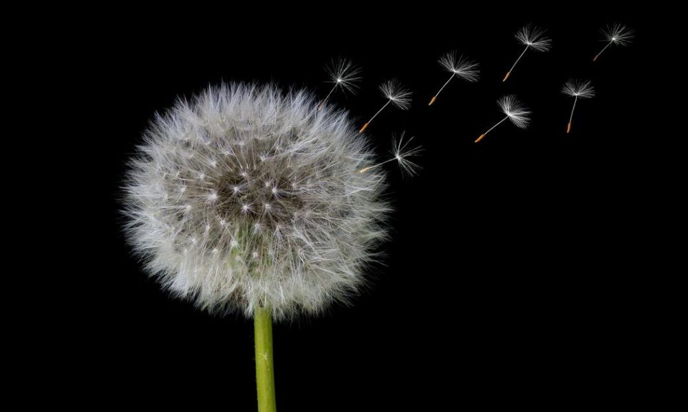 Recognizing Early Signs of Alzheimer's: The Impact on Daily Life