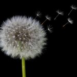 Recognizing Early Signs of Alzheimer's: The Impact on Daily Life