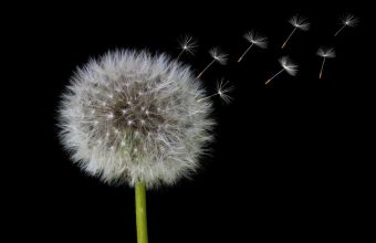 Recognizing Early Signs of Alzheimer's: The Impact on Daily Life