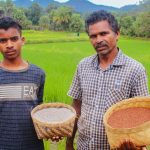 Reviving Tradition: Odisha's Adivasi Farmers Safeguard Indigenous Seeds