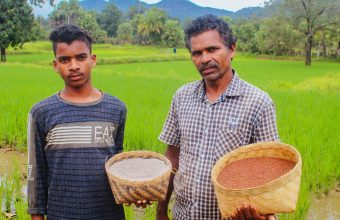 Reviving Tradition: Odisha's Adivasi Farmers Safeguard Indigenous Seeds