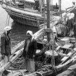 When Unity Breached Borders: The 1948 Strike of Indian and Pakistani Workers in Kuwait