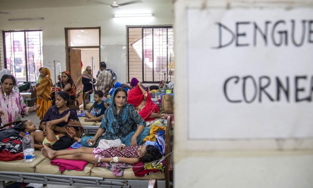 Bangladesh Braces for a Potentially Severe Dengue Season Amid Health System Strain