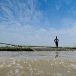 Bangladesh's Approval of Padma Barrage Highlights Challenges for India's Neighbourhood First Policy