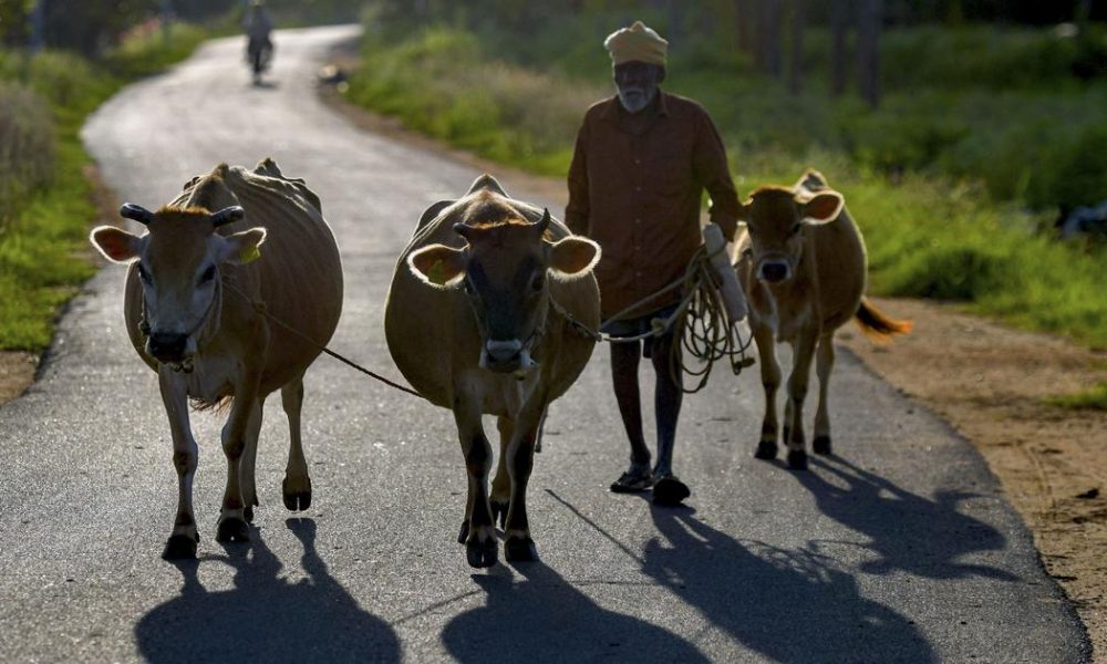 CPI (M-L) Challenges West Bengal's Restrictions on Ritual Animal Sacrifice in High Court