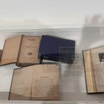 Exploring Bibhutibhushan Bandopadhyay's Legacy: A Reflection on Colonial Civilisation and Indian Literature