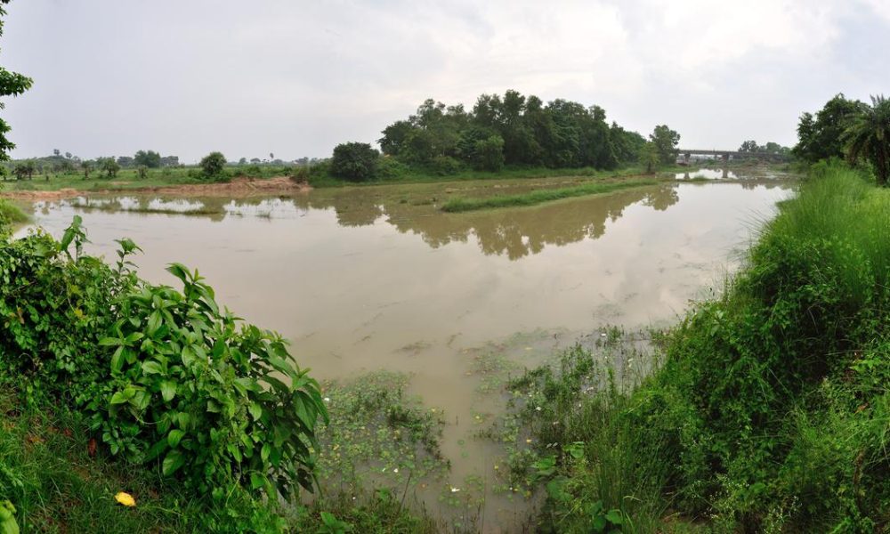 Exploring Tarashankar Bandyopadhyay's 'The Tale of Hansuli Turn': A Reflection on River Preservation
