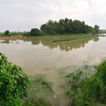 Exploring Tarashankar Bandyopadhyay's 'The Tale of Hansuli Turn': A Reflection on River Preservation