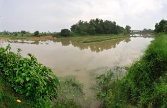 Exploring Tarashankar Bandyopadhyay's 'The Tale of Hansuli Turn': A Reflection on River Preservation