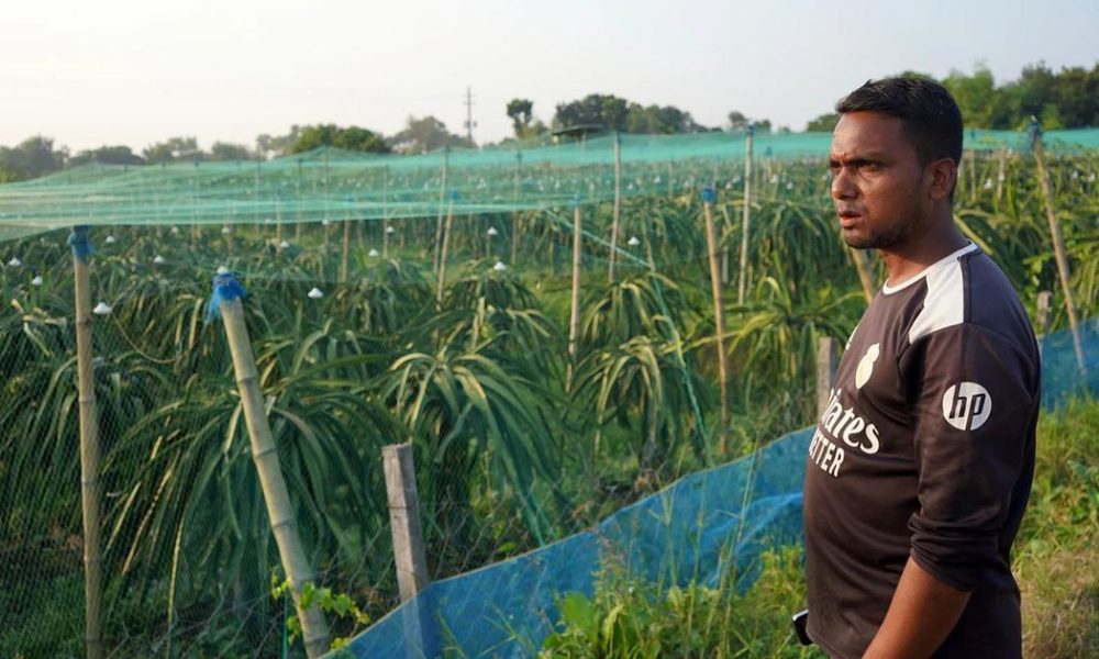 Farmers in Bangladesh Shift from Paddy to High-Value Crops Amid Water Crisis
