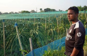Farmers in Bangladesh Shift from Paddy to High-Value Crops Amid Water Crisis