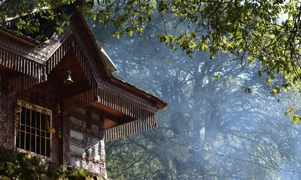 Himachal Pradesh's Sacred Groves: A Blend of Tradition and Environmental Conservation