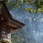 Himachal Pradesh's Sacred Groves: A Blend of Tradition and Environmental Conservation