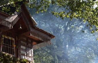 Himachal Pradesh's Sacred Groves: A Blend of Tradition and Environmental Conservation