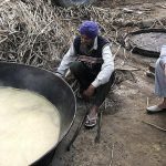 India Imposes Sugar Export Ban Until September to Stabilize Domestic Prices Amid Global Uncertainty
