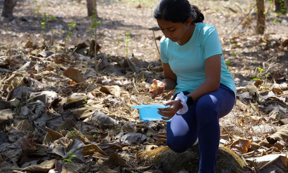 Integrating Real-World Experiences into Environmental Education: A Necessity for India
