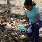 Integrating Real-World Experiences into Environmental Education: A Necessity for India