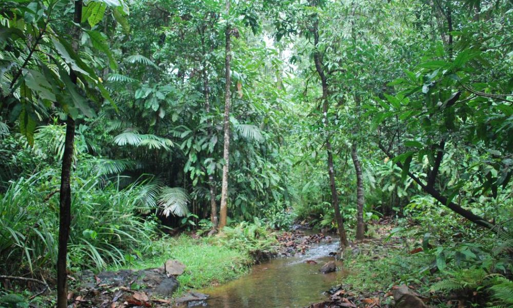 Maharashtra's Vadhavan Port Project Receives Green Light for Forest Land Diversion