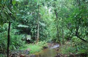 Maharashtra's Vadhavan Port Project Receives Green Light for Forest Land Diversion