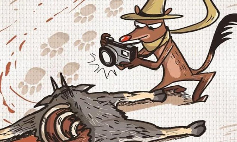 Mongoose Ruddy: A Young Detective Unveils Nature's Mysteries Without Breaking Any Laws