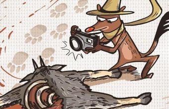 Mongoose Ruddy: A Young Detective Unveils Nature's Mysteries Without Breaking Any Laws