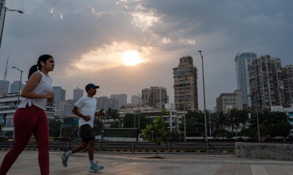 Morning or Evening Workouts: How Your Body Clock Influences Your Fitness Routine