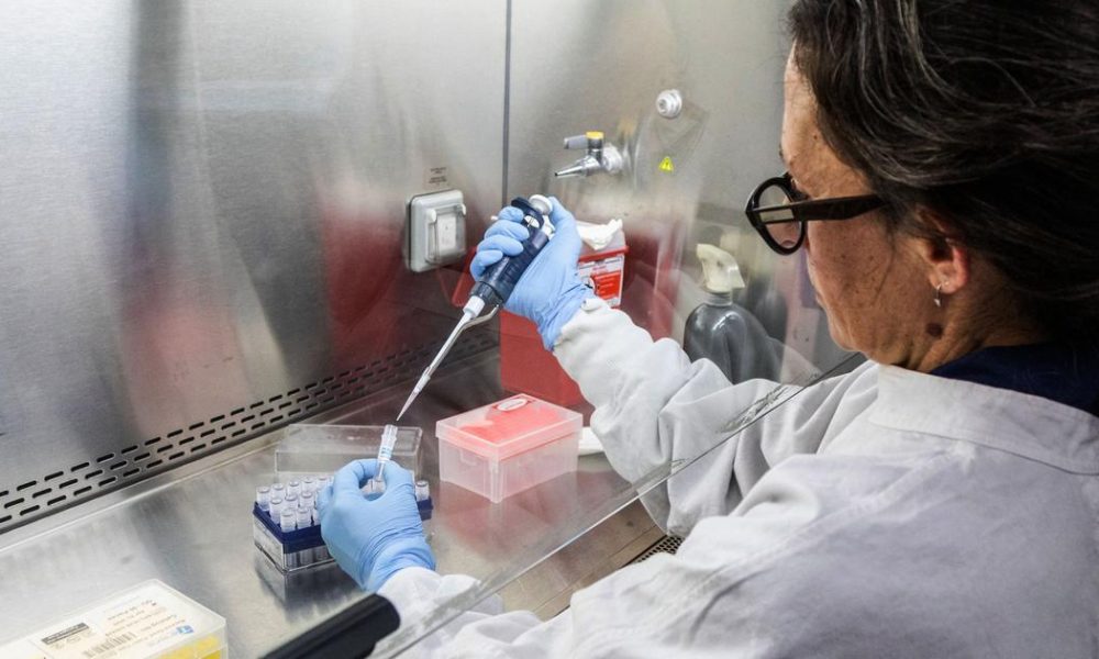 No Immediate Hantavirus Threat in India, Assures Virology Expert Amid Isolated Cases