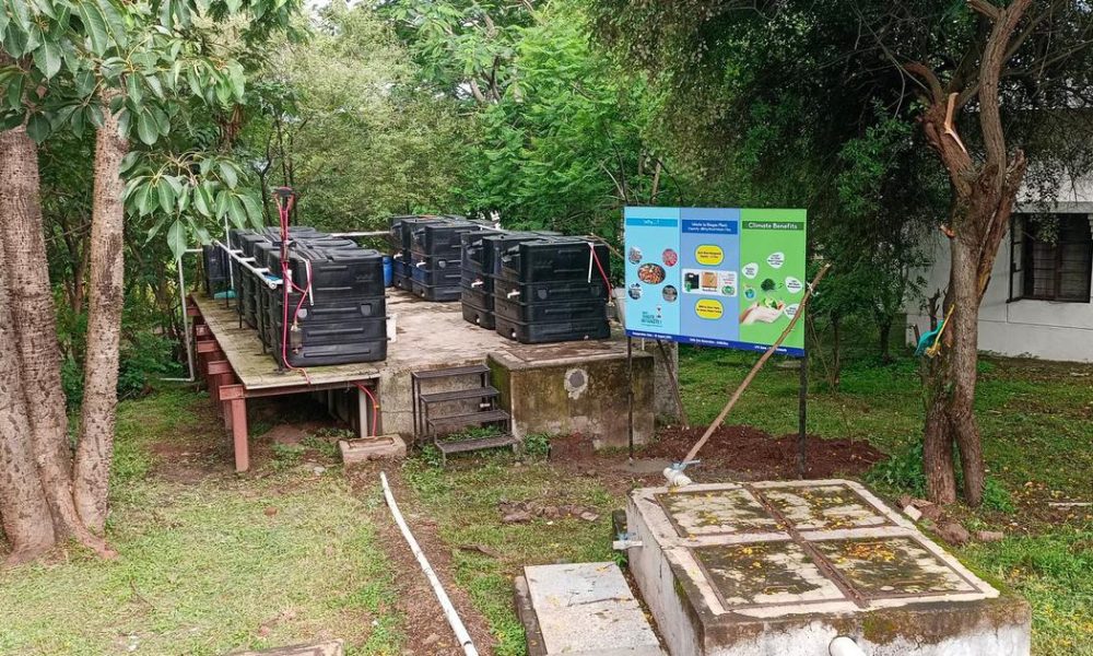 Rise in Alternative Cooking Fuels Amid LPG Shortage: Biogas and Solar Solutions Gain Popularity