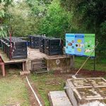 Rise in Alternative Cooking Fuels Amid LPG Shortage: Biogas and Solar Solutions Gain Popularity