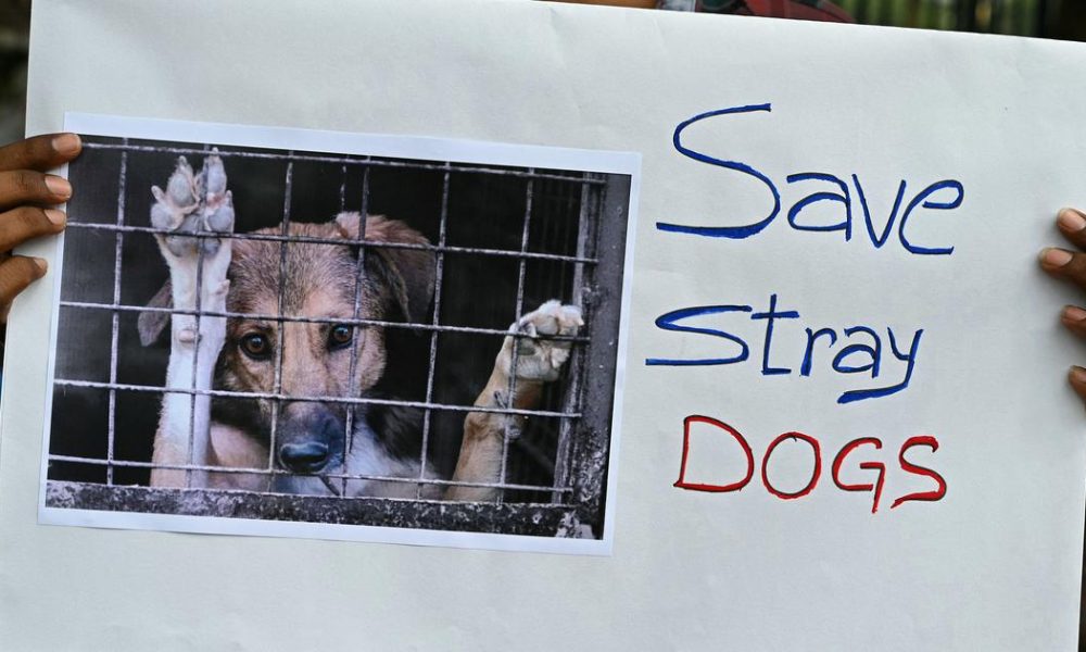 Supreme Court's Stray Dog Verdict Allows Unique Exception for NALSAR Campus
