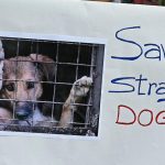Supreme Court's Stray Dog Verdict Allows Unique Exception for NALSAR Campus