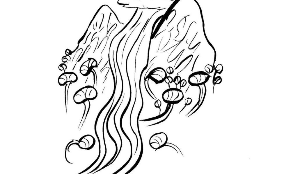 The Enigmatic Lampati: A Tree's Role in Shaping Human Narrative and Culture