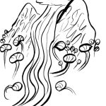 The Enigmatic Lampati: A Tree's Role in Shaping Human Narrative and Culture