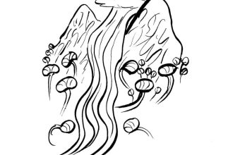The Enigmatic Lampati: A Tree's Role in Shaping Human Narrative and Culture
