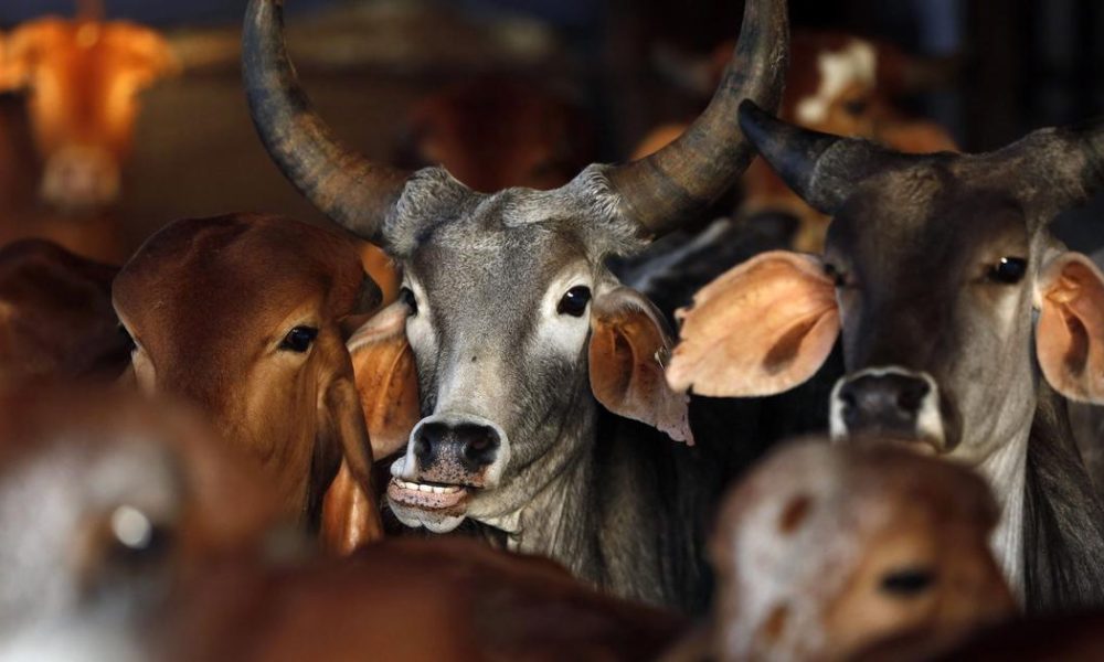 West Bengal Government Implements Ban on Public Animal Slaughter Ahead of Bakrid