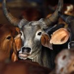 West Bengal Government Implements Ban on Public Animal Slaughter Ahead of Bakrid