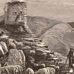 A Tale of Compassion: A Samaritan's Act Across Community Lines