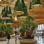 Bengaluru Airport's Terminal-2: A Green Oasis or an Aesthetic Misfit?