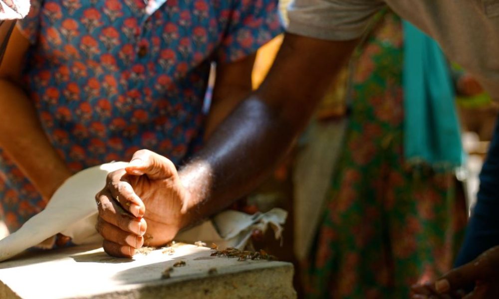 Can Small Environmental Initiatives Tackle Major Ecological Challenges in India?