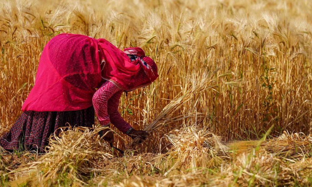 Exploring the Spiritual Essence of Indian Seasons Through Poetry