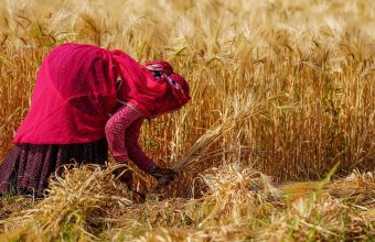Exploring the Spiritual Essence of Indian Seasons Through Poetry
