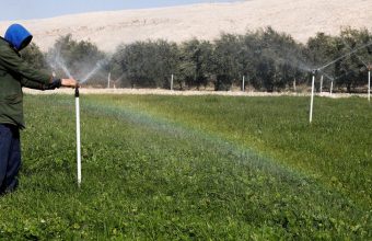 Harnessing Agrivoltaics: A Sustainable Solution to AI's Energy Demands