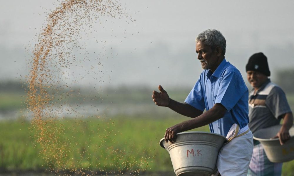 India Faces 43% Rainfall Deficit: Kharif Crops Under Threat