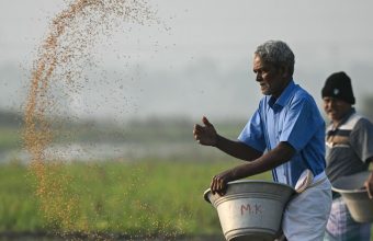 India Faces 43% Rainfall Deficit: Kharif Crops Under Threat