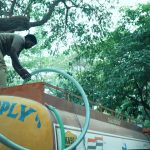 Innovative Solutions Needed to Combat Climate Change and Resource Scarcity in India