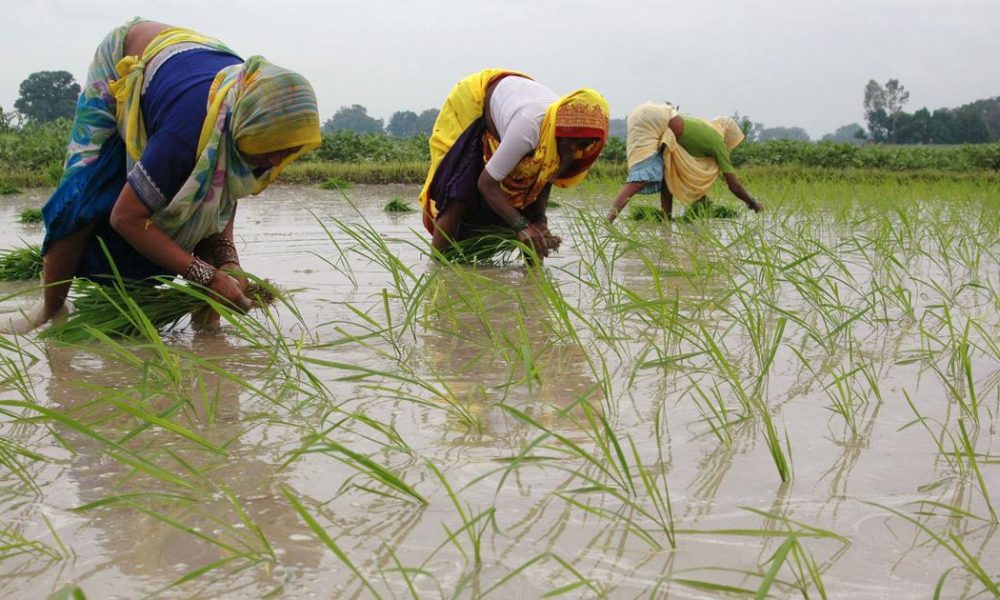 Maharashtra Delays Farm Loan Waiver Implementation, Disbursement to Start on July 5